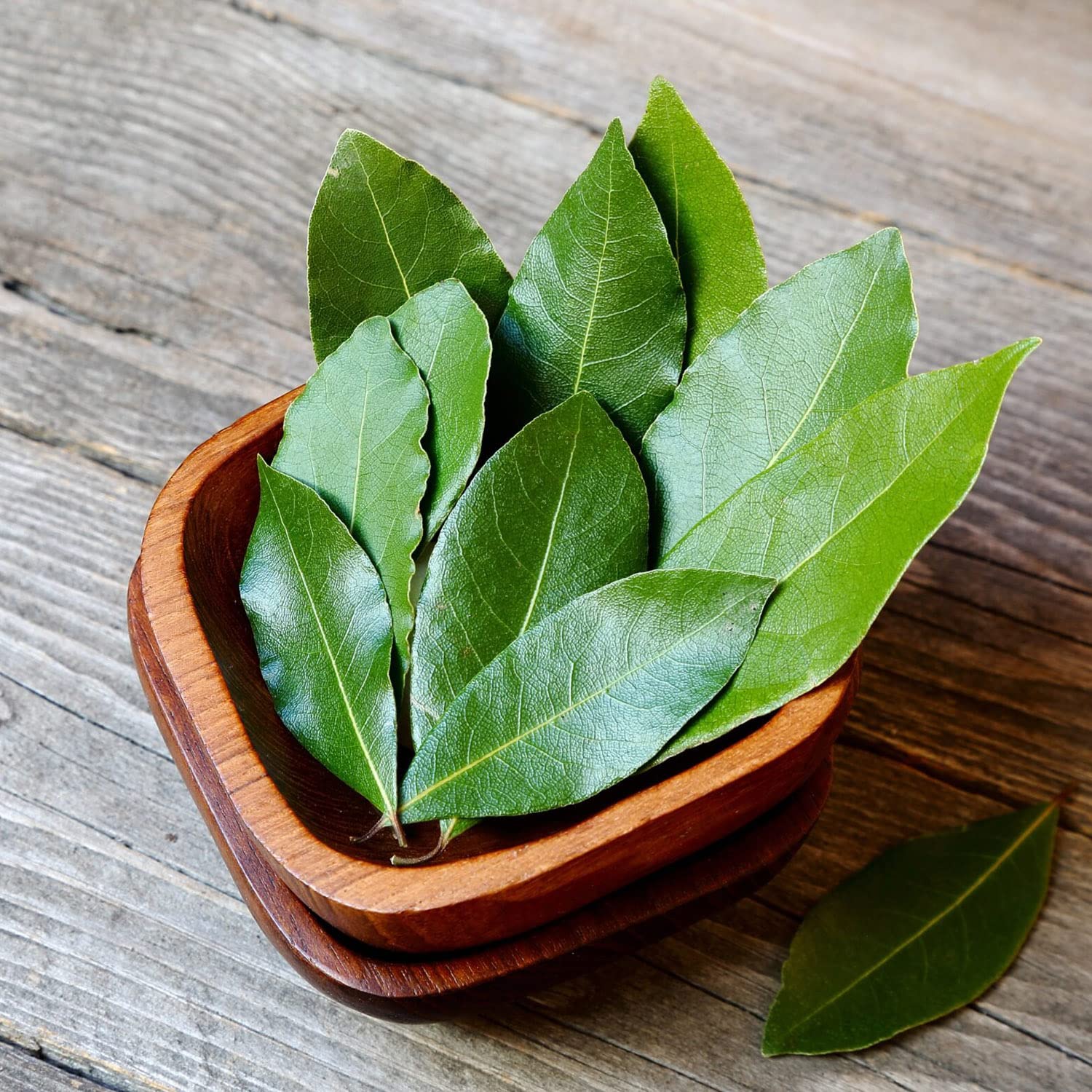 looms & weaves - Premium Indian Bay Leaf Whole – 50 gm (Single Origin, Farm Direct Produce, Organically Grown & Made in small batches) - Image 5 thumbnail