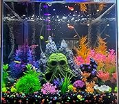 Review Image by Kindle Customer