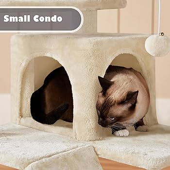 小物 chee Amazon.com : Yaheetech 54in Cat Tree Tower Condo Furniture