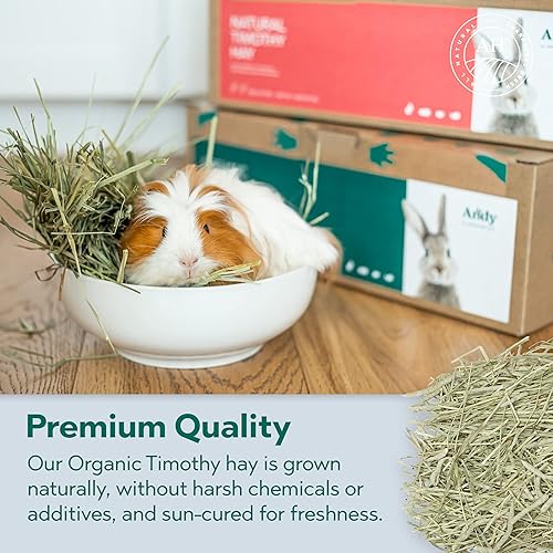 Miniatura 4 de Andy Organic Timothy - Comida orgánica para conejillos de indias y conejillo de indias, caja de 15 libras, heno Timothy de primer corte, heno