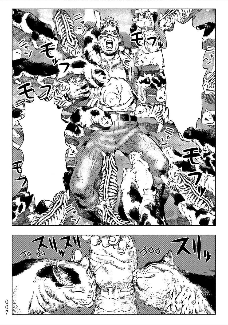 Night of the Living Cat Vol. 1