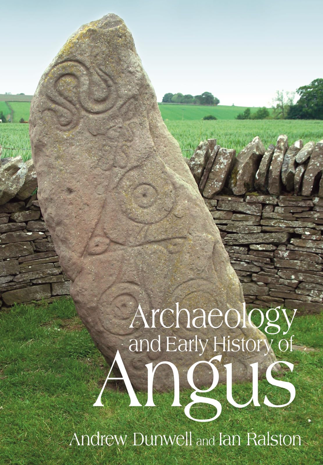 Archaeology and Early History of Angus. Dunwell 9780752441146 Free Shipping**