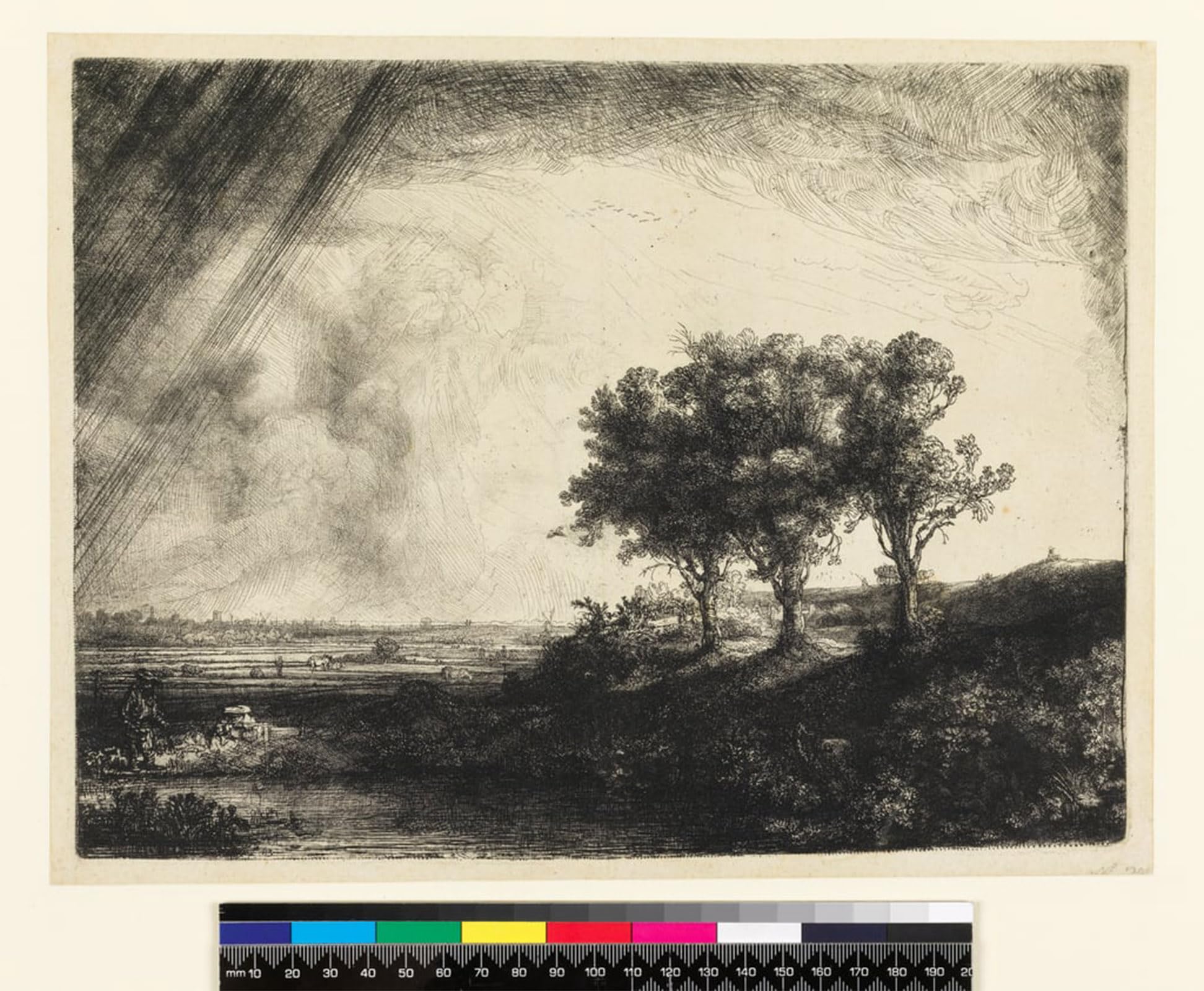 SERENDIPITP Abstract Painting Mural Print Picture Wall Decor Painting .kthe three trees by Rembrandt van Rijn Vintage Wall Artwork for Home Decor 60x90cm