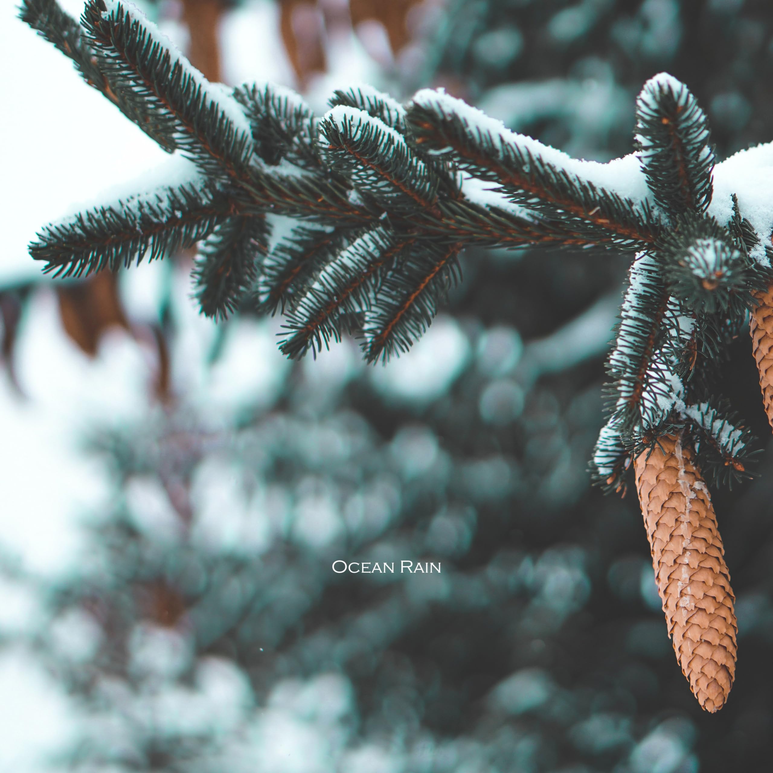 Ocean Rain