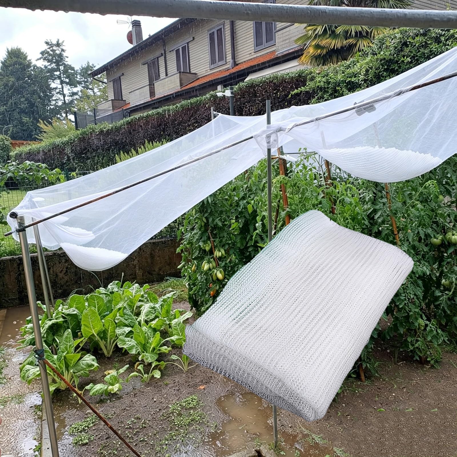 Malla Antigranizo para Huerto Plantas de Jardín Reutilizable Alta Resistencia con Hilos Reforzados, Red de Protección contra Granizo Blancas para Frutas y Verduras(3 x 20 m/9.8 x 65.6 ft)