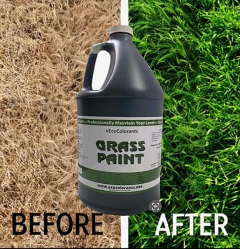Miniatura 2 de Pintura concentrada de césped verde, 128 onzas (galón) para césped seco, parchado o inactivo, cubre hasta 4,000 pies cuadrados, colorante natural,