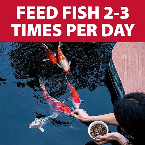 Miniatura 4 de The Pond Guy Alimento básico para peces koi y peces de colores, pellets flotantes de elección para el bienestar y la salud de los peces, nutrición