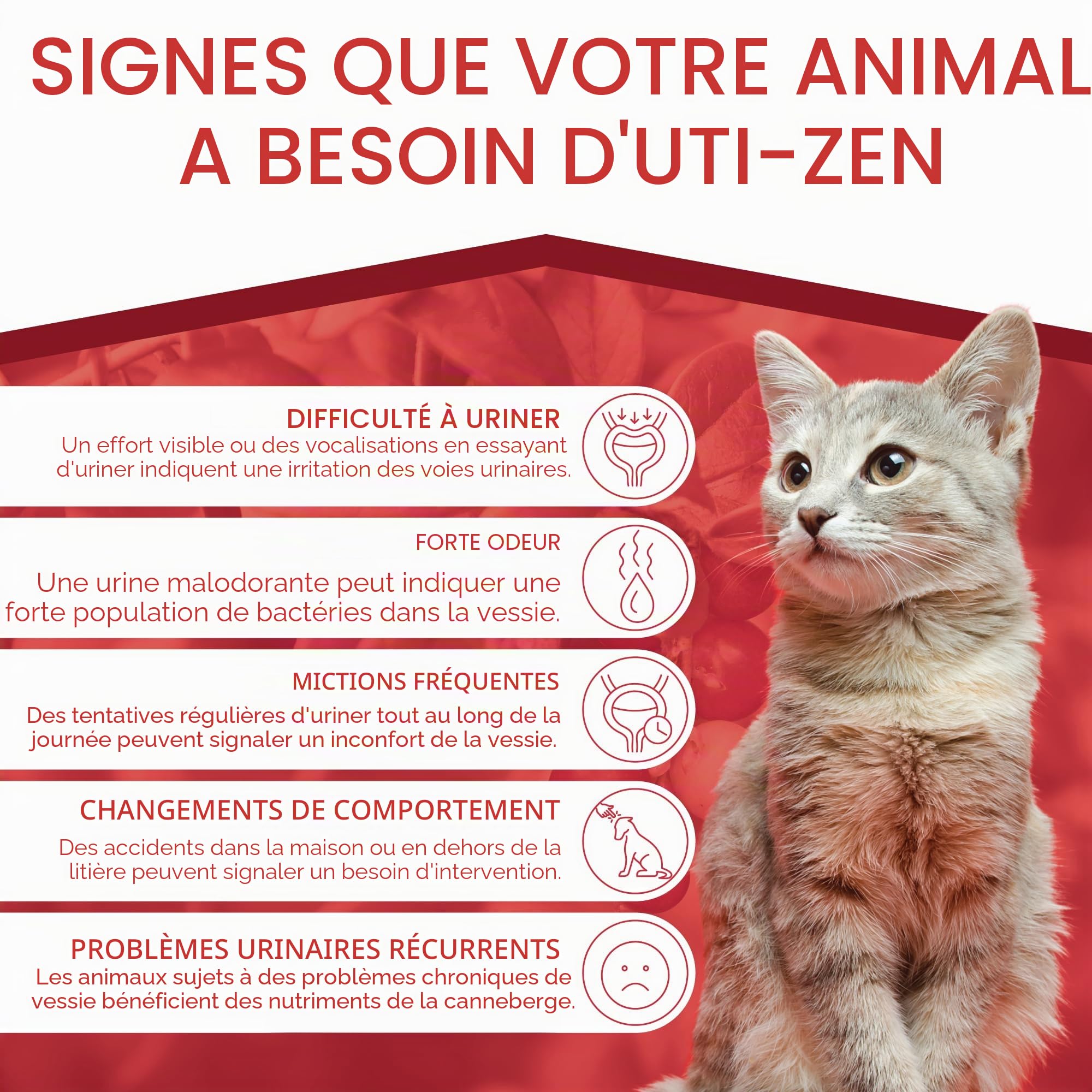 UTI-Zen Canneberge pour Chiens & Chats | Tablettes Appétentes à Croquer | Complément Alimentaire Naturel | 30 x 1,35 g | Dermoscent