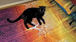 Review Image by Amazon Customer Amazon Customer