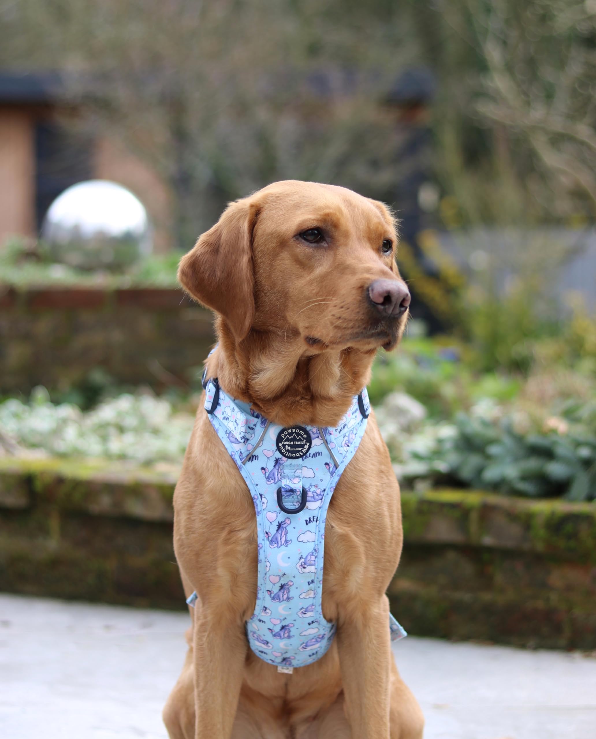 Pawsome Paws Boutique Eeyore - Arnés para Perro Grande Tough Trails – Arnés Ajustable con diseño de Disney sin tirones con Ribete Reflectante y Hebilla Resistente