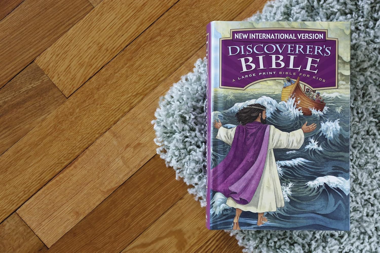 NIV, Discoverer's Bible, Large Print, Hardcover
