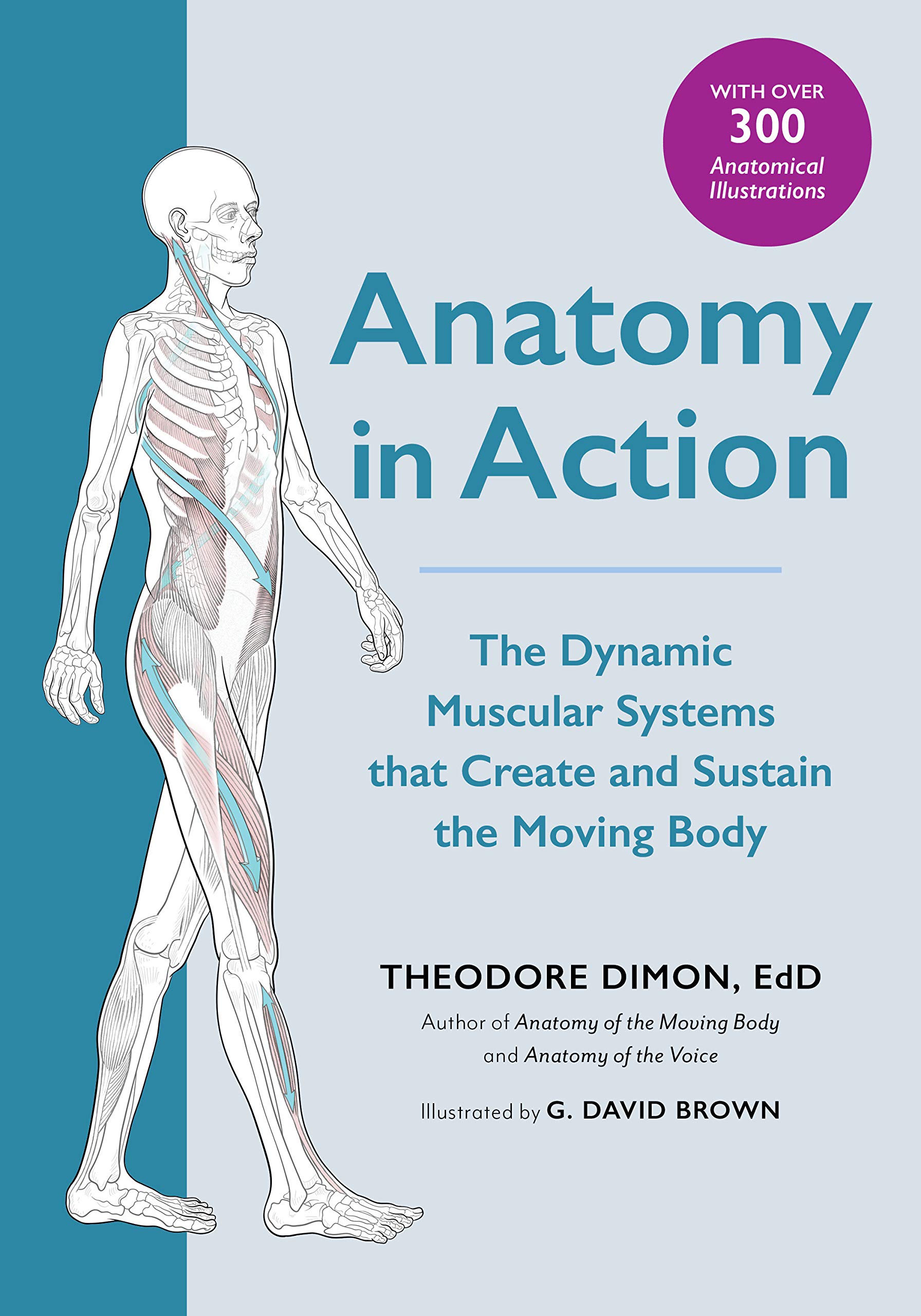 Anatomy in Action: The Dynamic Muscular Systems that Create and Sustain the Moving Body