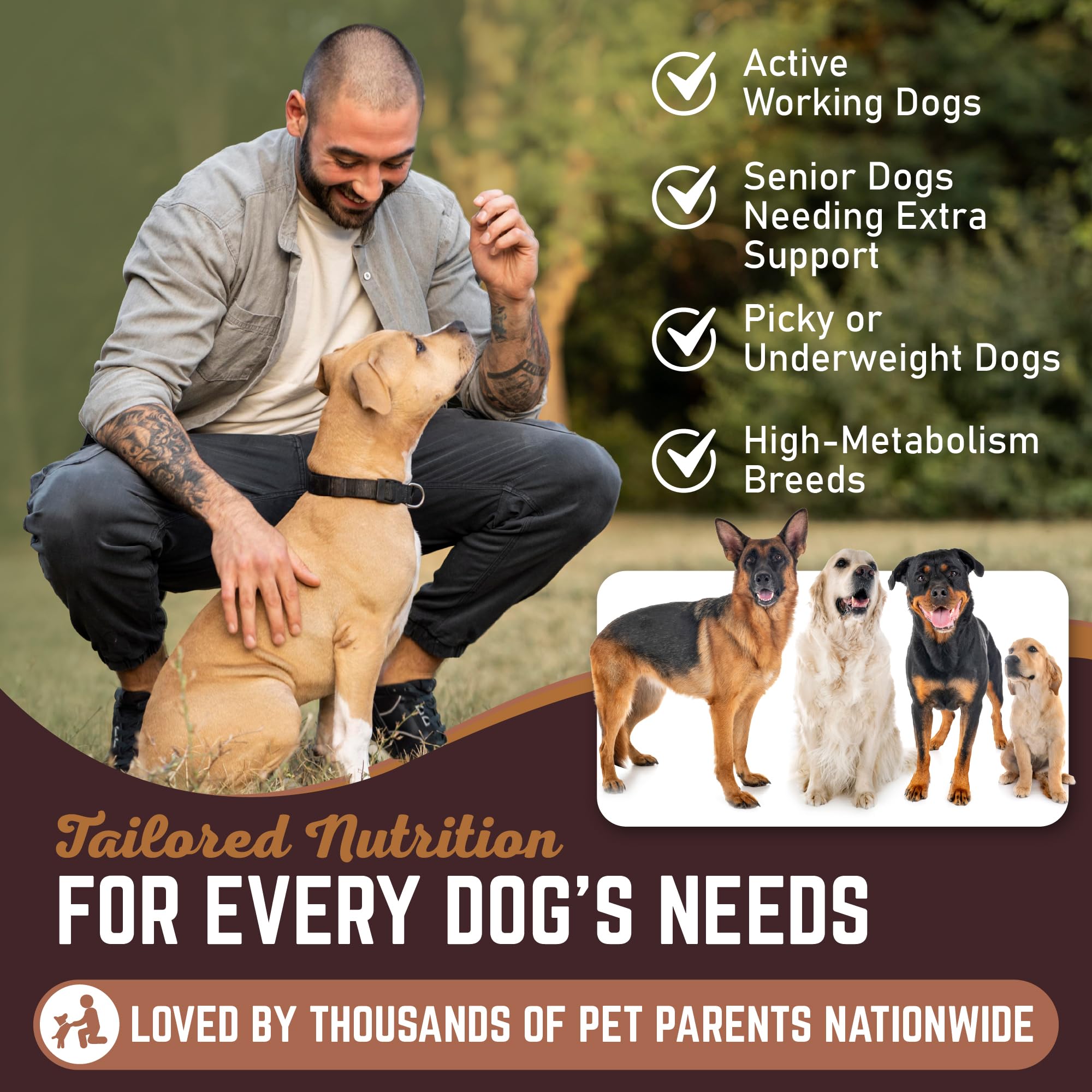 All American Canine Entenköpfe für Hunde, dehydrierte Hundeleckerlis, 10 Stück | Dehydrierte ganze Entenköpfe | High Protein Low Fat Chew | Unterstützt Zähne und Training | Getreidefrei | Made in USA