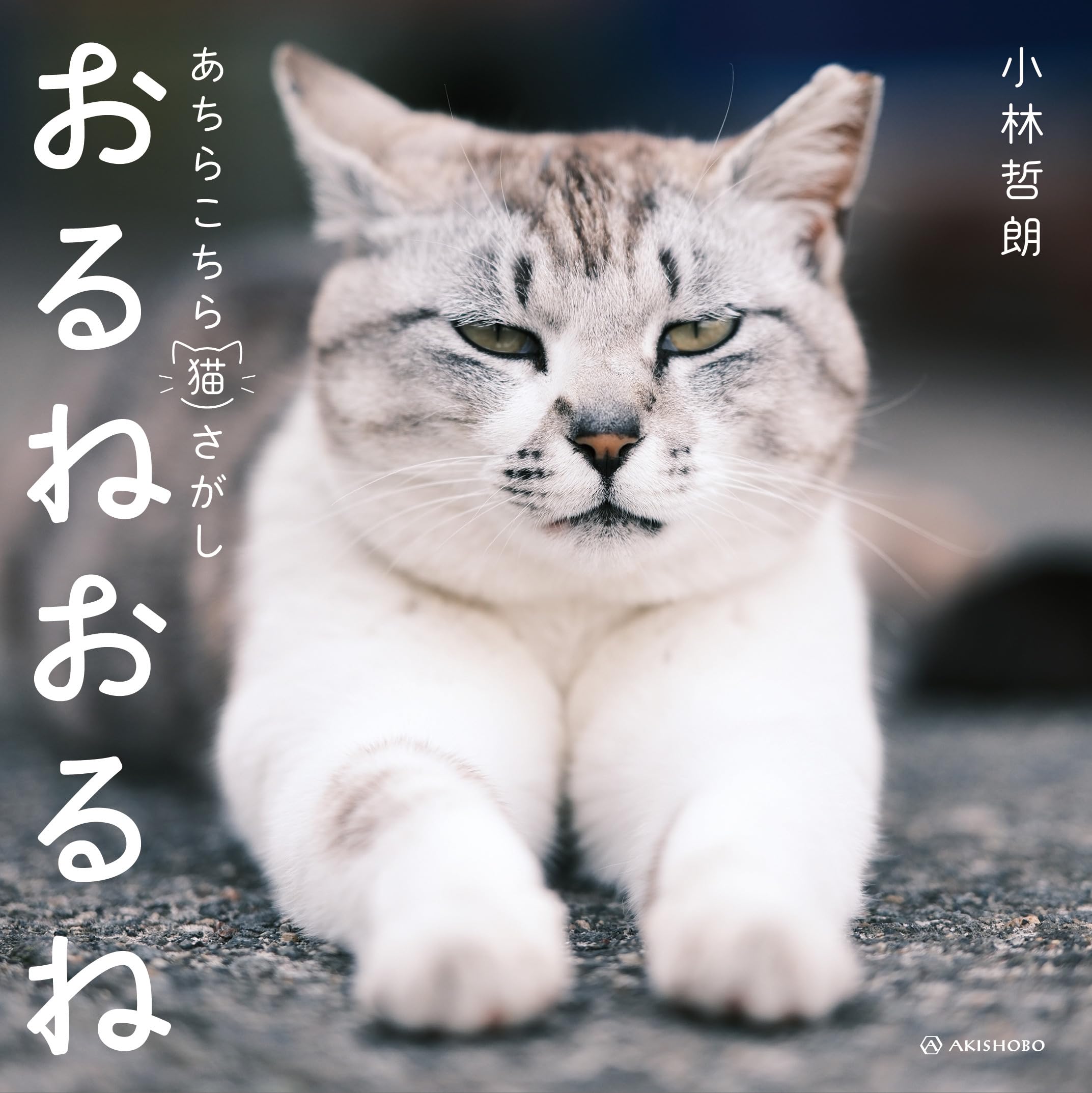 ねこであるページ おるねおるね──あちらこちら猫さがし | 小林 哲朗 |本 | 通販