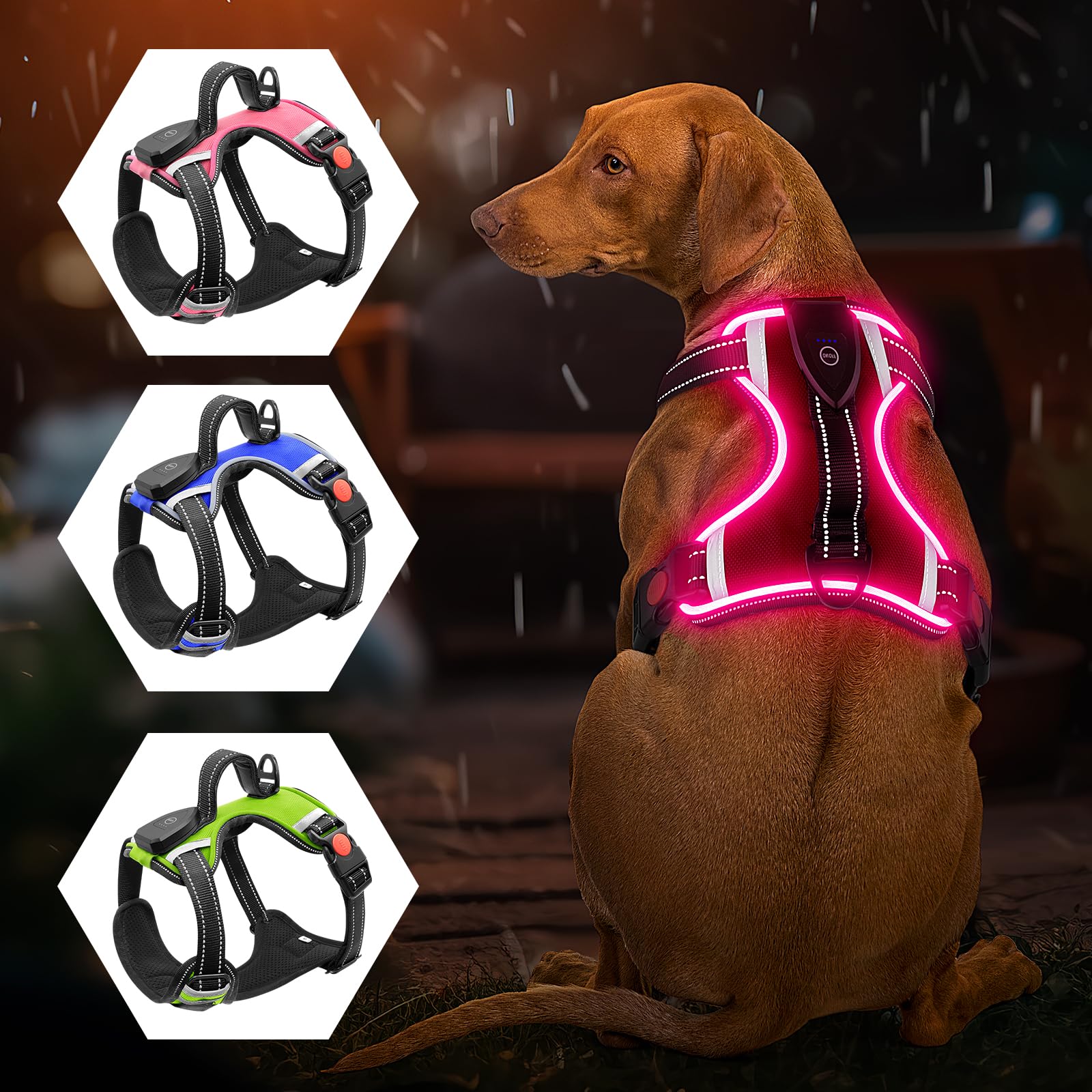 LED Hundeleine, Bpawser Light Up Hundeleine Micro USB wieder