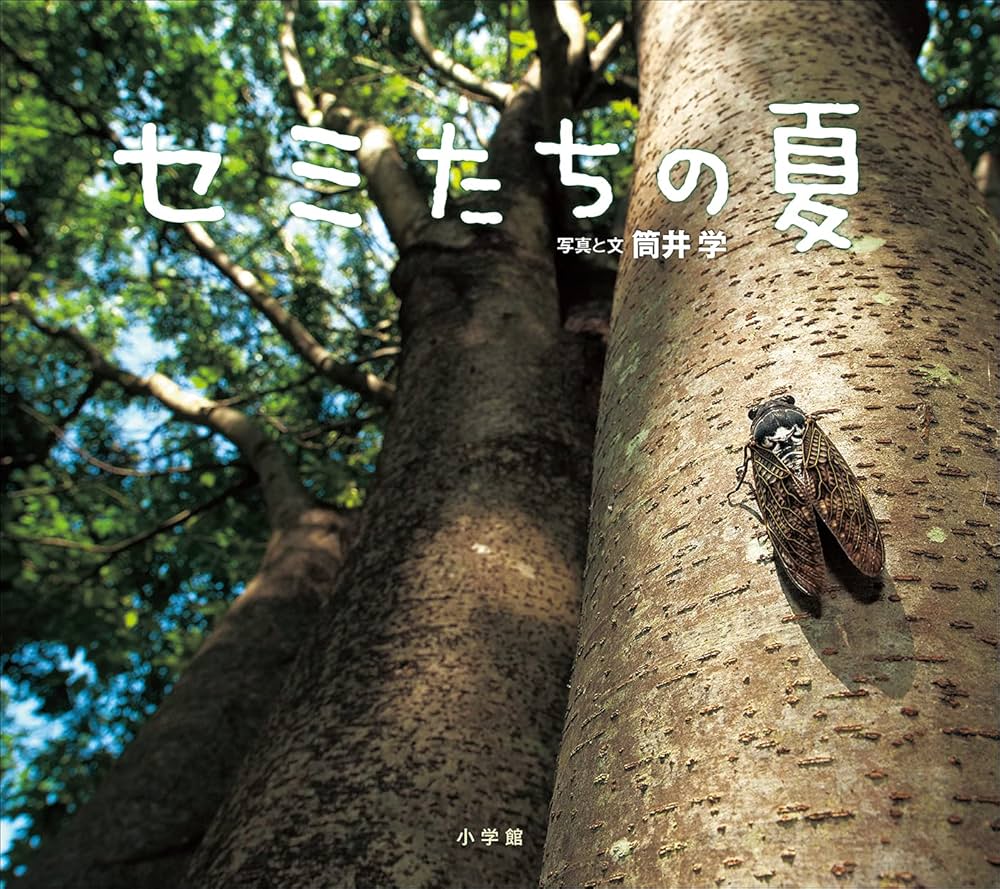 昆虫学者 夏の風物詩 昆虫学者 夏の風物詩