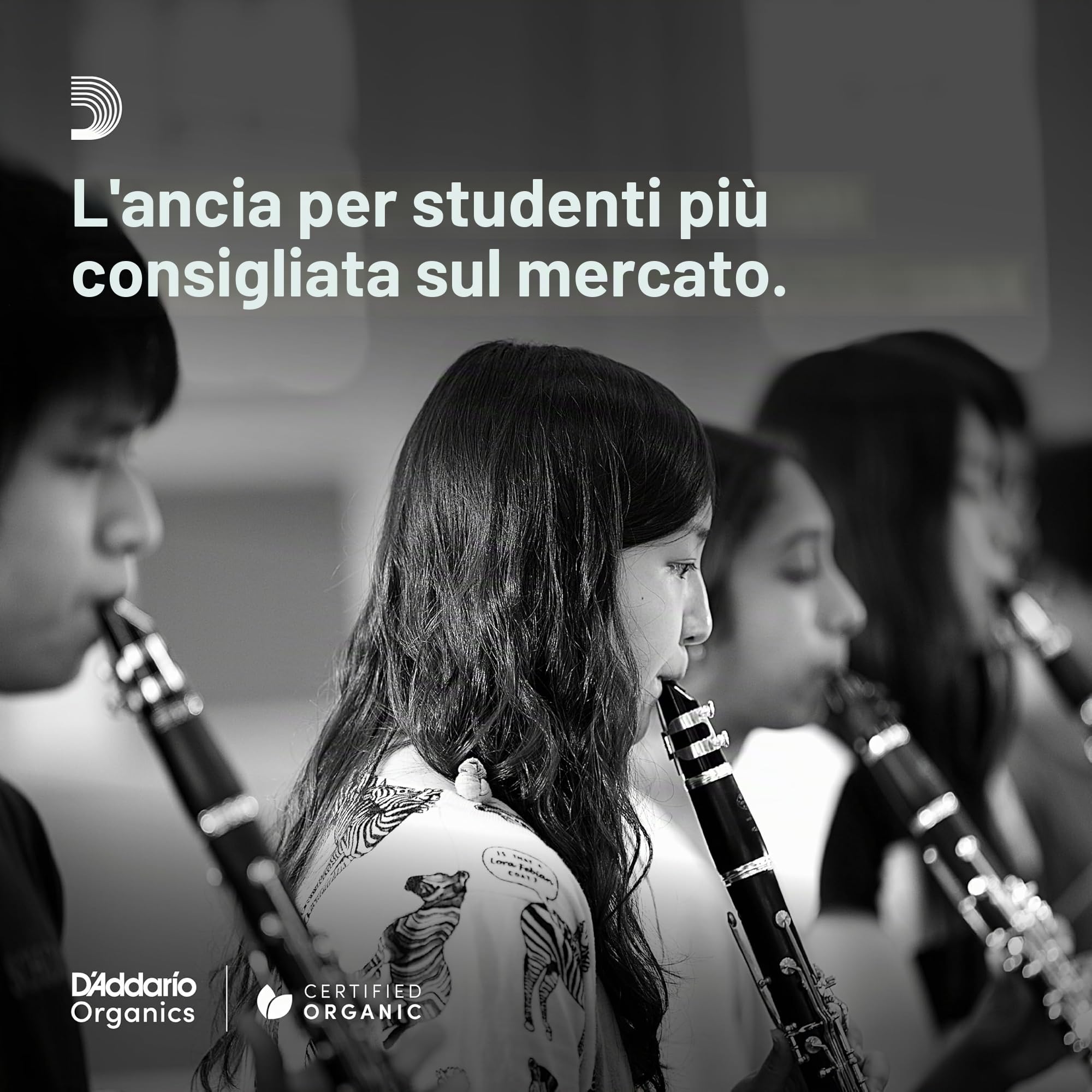 Rico Organic Clarinetto Basso Ance Forza 3.0, Confezione da 10