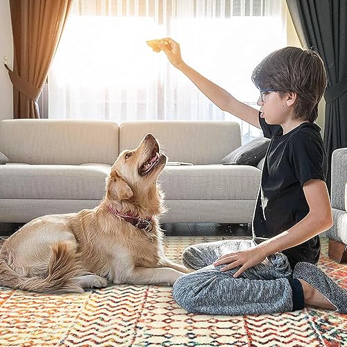 Miniatura 5 de Alfombras marroquíes para sala de estar, 5 x 7 pies, suaves, bohemio, envejecidas, antideslizantes, grandes, de pelo bajo, lavable, alfombra de casa