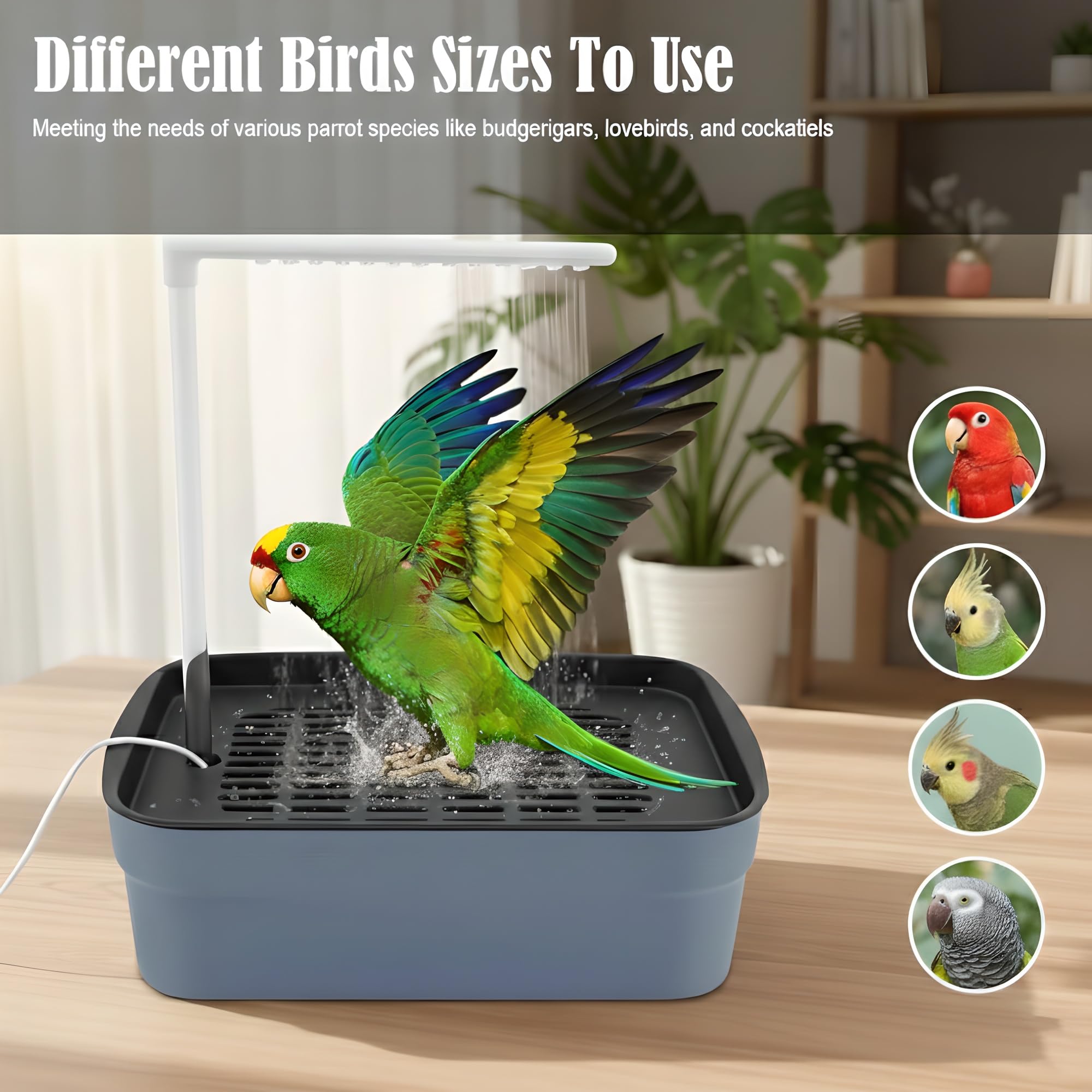 Ducha automática para pájaros con bomba, fuente de flujo de agua ajustable, alimentación por USB, ideal para pájaros pequeños a medianos, incluye accesorio para jaula de loros