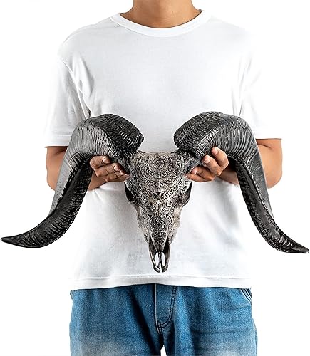 Vista 40 de Skull Bliss - Calavera de carnero de taxidermia auténtica tallada a mano con cuernos/decoración del hogar de cráneo de carnero genuino/decoraciones
