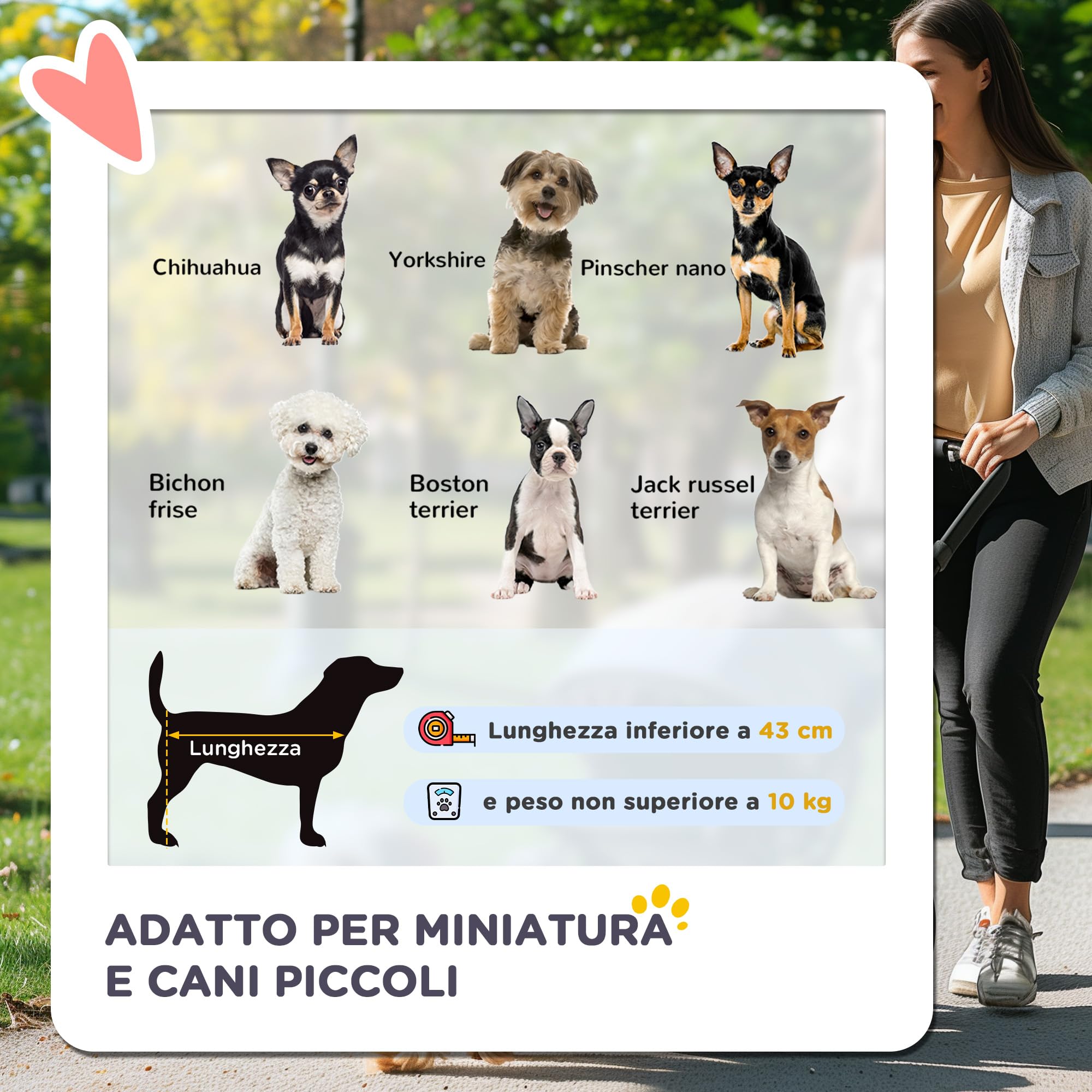 PawHut Passeggino per Cani Piccoli Pieghevole con Maniglione Girevole Ruote con Freni in EVA, Passeggino Cane con Cestino Portaoggetti, 76.5x52x95cm, Nero