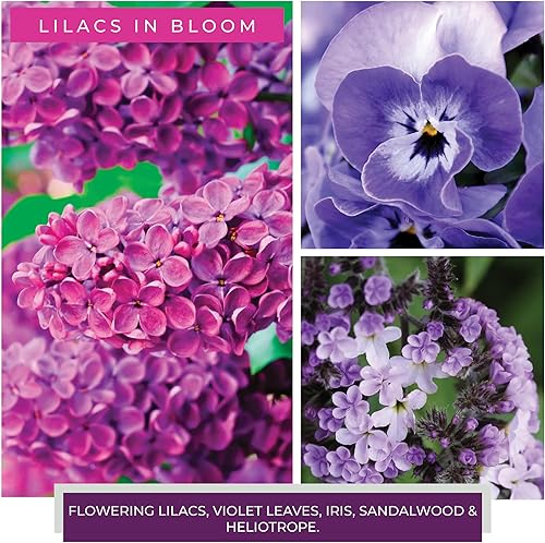 Miniatura 3 de A Cheerful Giver Lilacs In Bloom - Tarro de vela perfumada de Papa de 34 onzas con tapa, Keepers of the Light, 155 horas de tiempo de combustión,