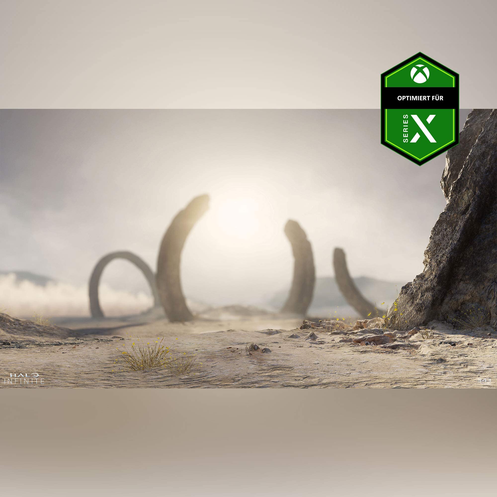 Halo Infinite - Steelbook® Edition – Xbox Series X and Xbox One