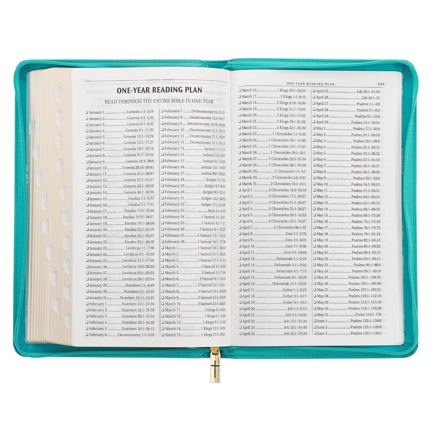 KJV Holy Bible, Standard Size Faux Leather Red Letter Edition Thumb Index, Ribbon Marker, King James Version, Teal Floral Zipper Closure (KJV Deluxe Gift Editions)