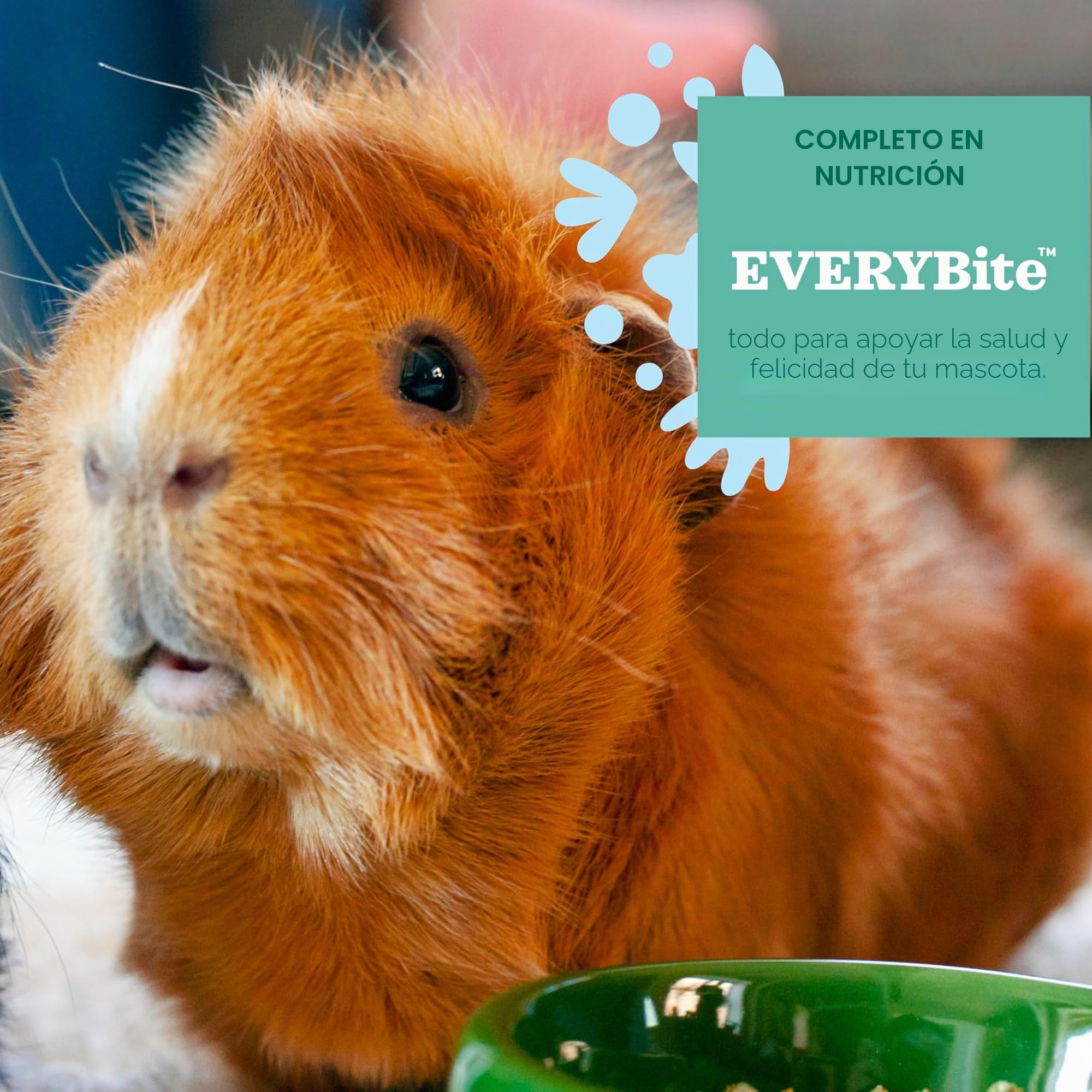 Petlife Oxbow Cavy Cocina Completa alimentación para Adultos Guinea Pig, 4,5 kg