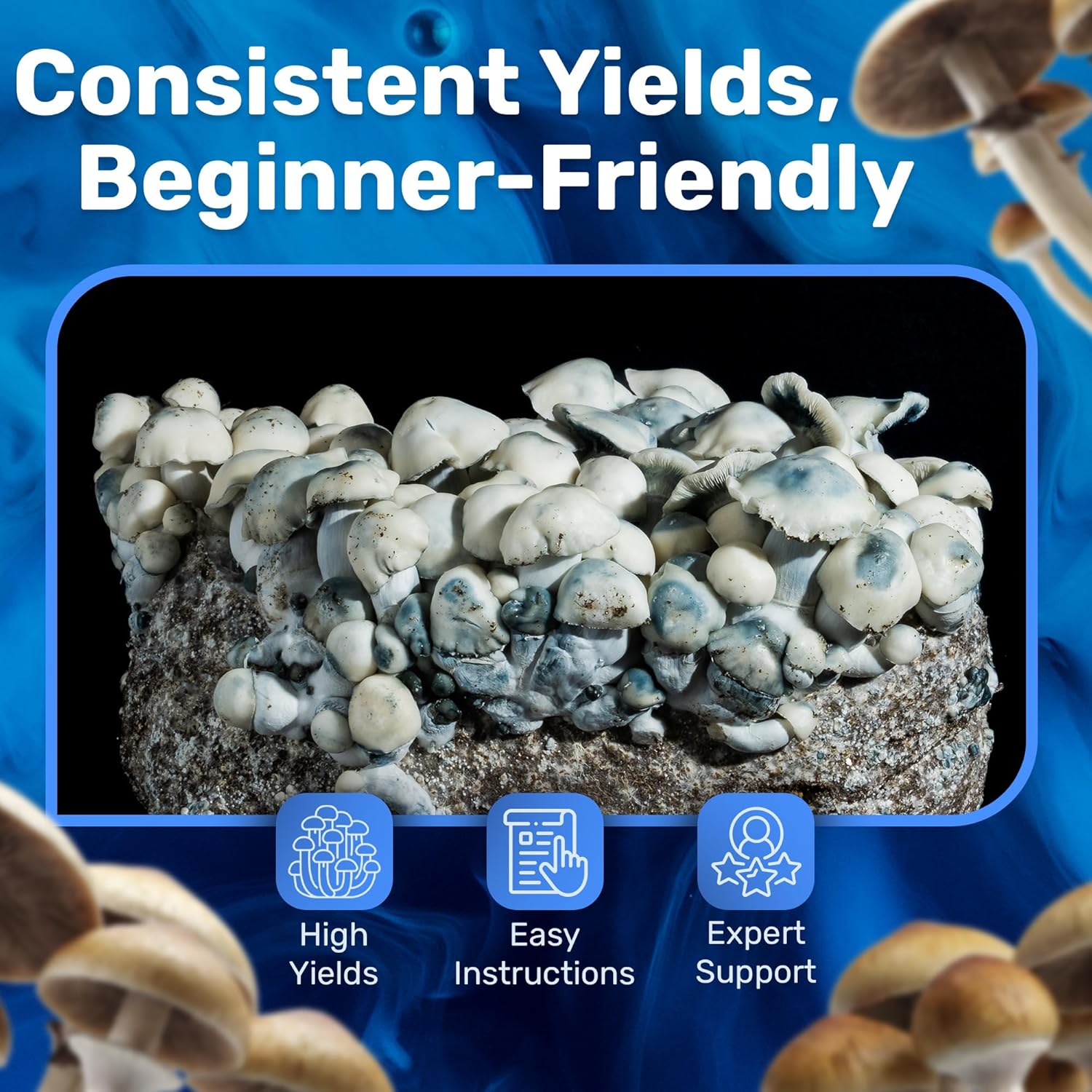 2 LB All-in-One Mushroom Grow Bag, Up to 21oz of Fresh Mushrooms Over 3 Flushes, Sterilized Grain & Dung-Loving Substrate, Injection Port, OMRI-Listed, Made in USA, Just Add Spores