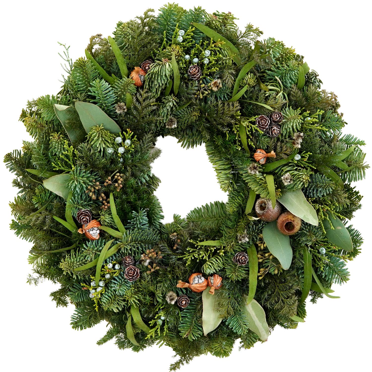 Amazon.co.jp: 花まりか クリスマスリース フレッシュ コニファー 月桃