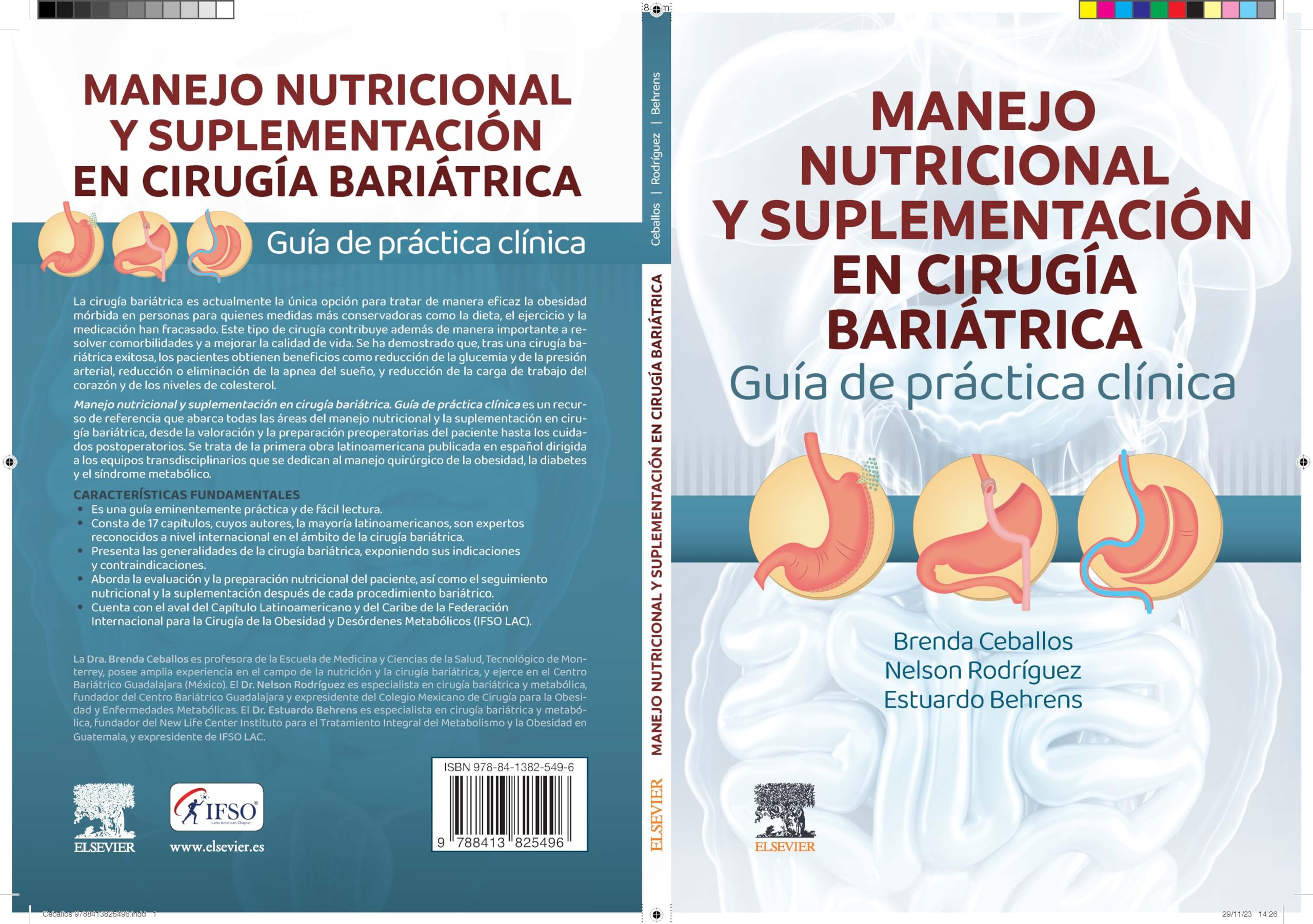 Manejo Nutricional y Suplementación en Cirugía Bariátrica: Guía de Práctica Clínica