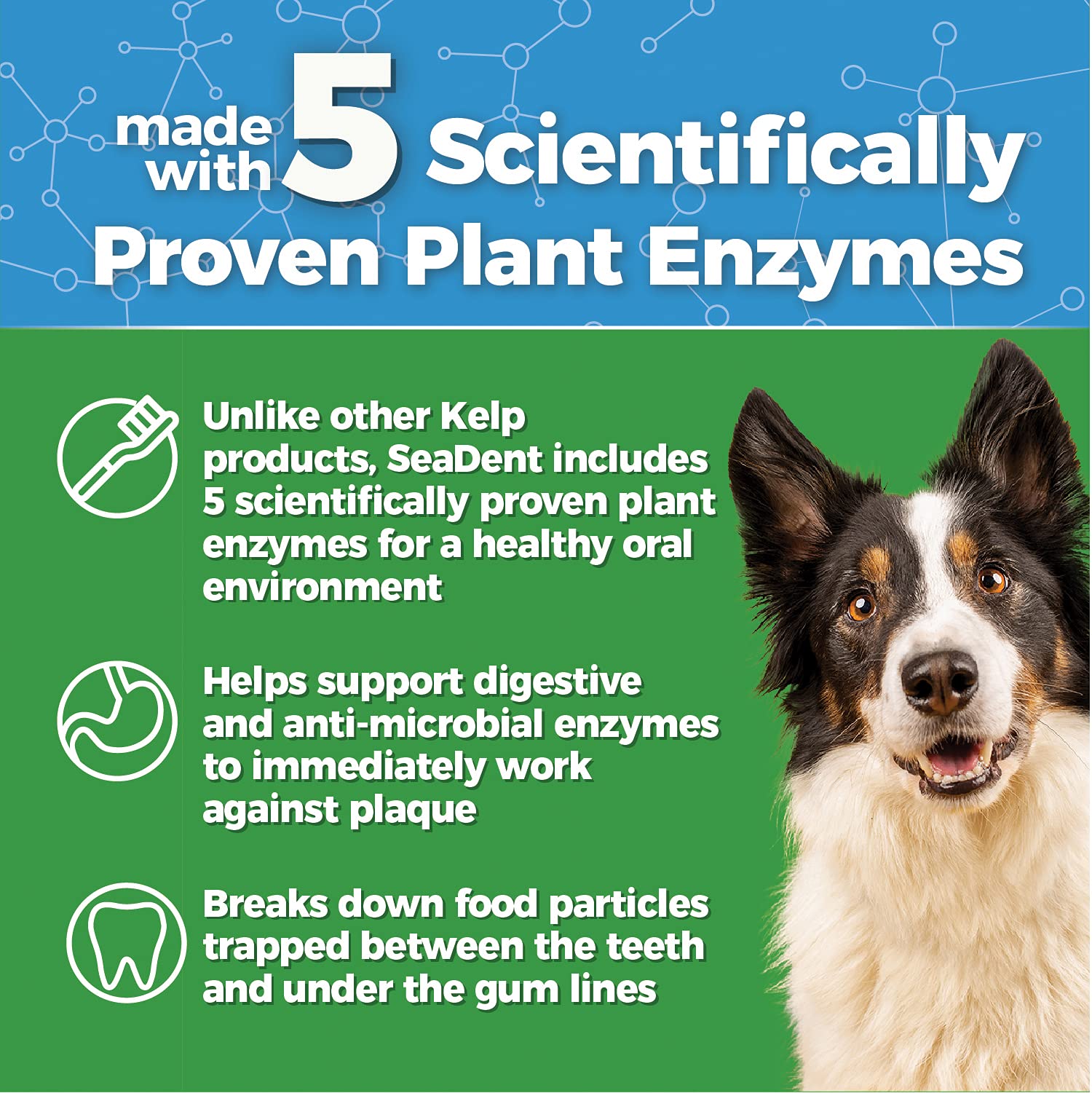 Buy Animal Essentials SeaDent Kelp & Enzyme Plaque & Tarter Control for
