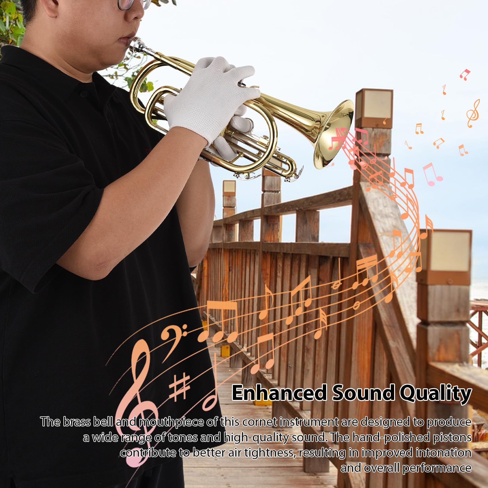 Btuty Bb Cornet Instrument De Cuivre Peinture De Surface Or Traitement Professionnel Cornet En Laiton Avec Étui De Transport Gants Nettoyage Chiffon Brosses Pour Les Étudiants Et Les Débutants