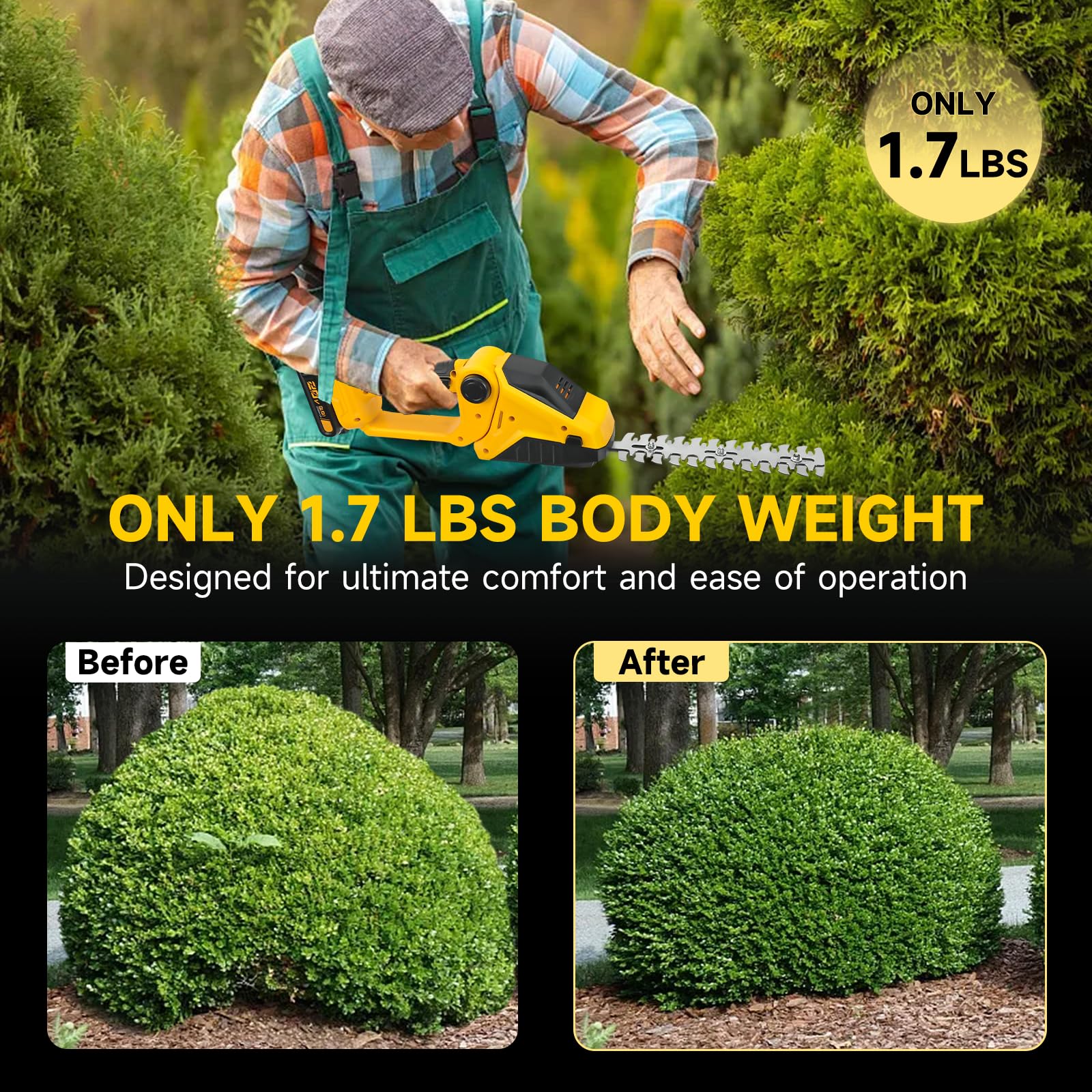 https://m.media-amazon.com/images/I/81T4jEJThkL.jpg