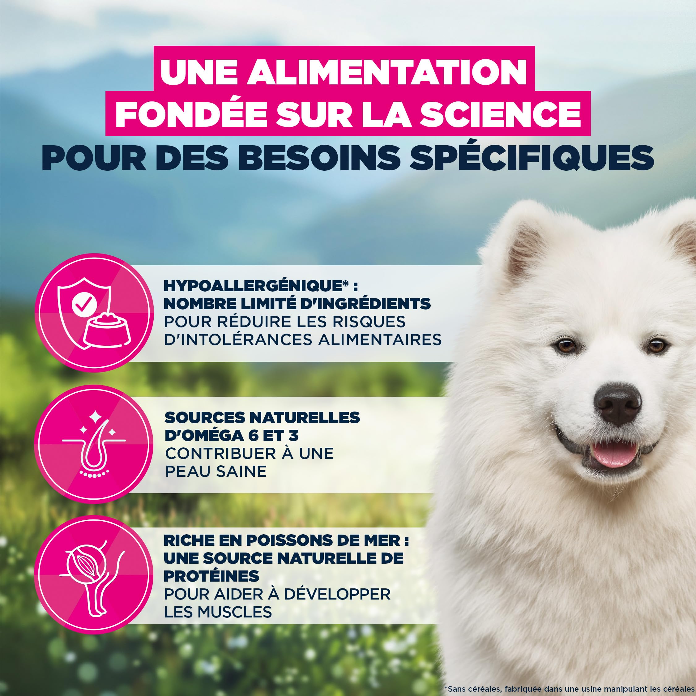 EUKANUBA Sensitive Skin Aliment pour Chiens au Poisson de mer - Aliment Sec Special Care hypoallergénique pour Chiens à Peau Sensible, 12 kg