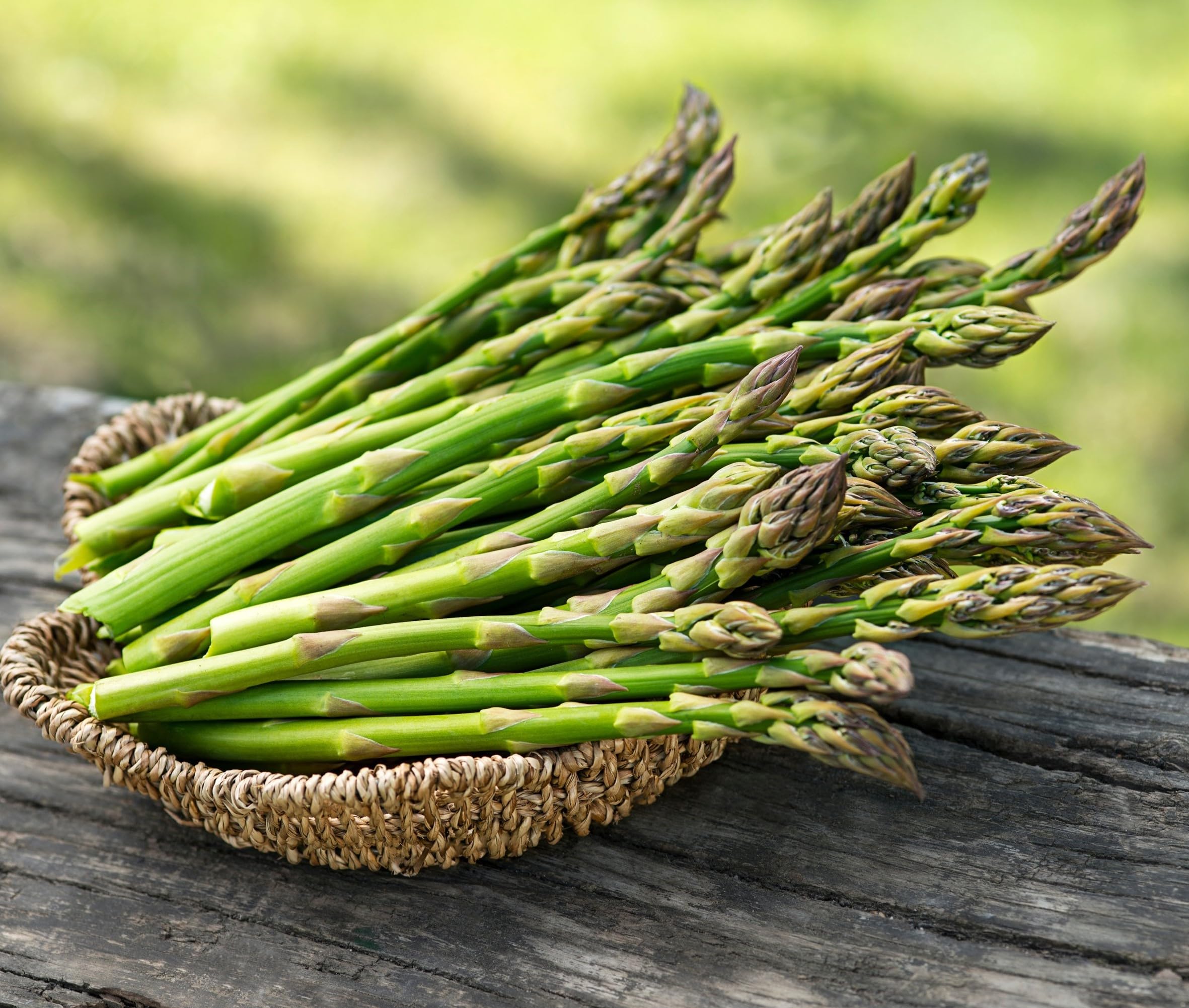 Asparagus Seeds For Planting - "Hybrid" Herbs Plant Seeds | High Germination Rate | Asparagus for Home Gardens | Fresh & Non-GMO (Asparagus)-image-5