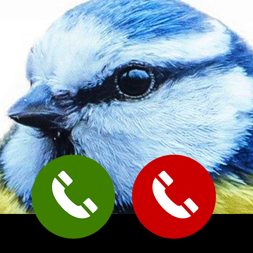 $ real voice Cute Bird animal Fake call from Bird