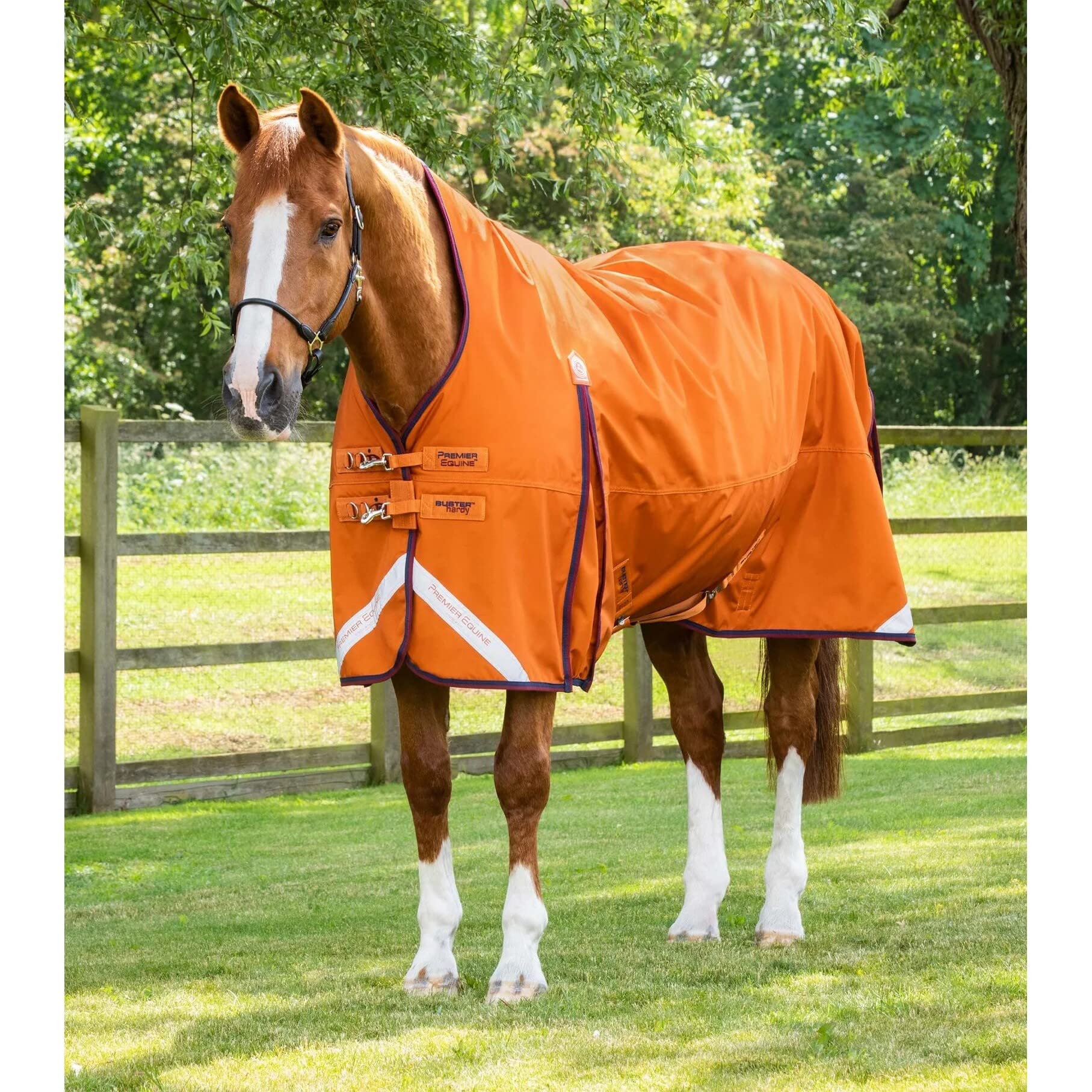Coperta impermeabile per cavalli Premier Equine Buster Hardy 200 g