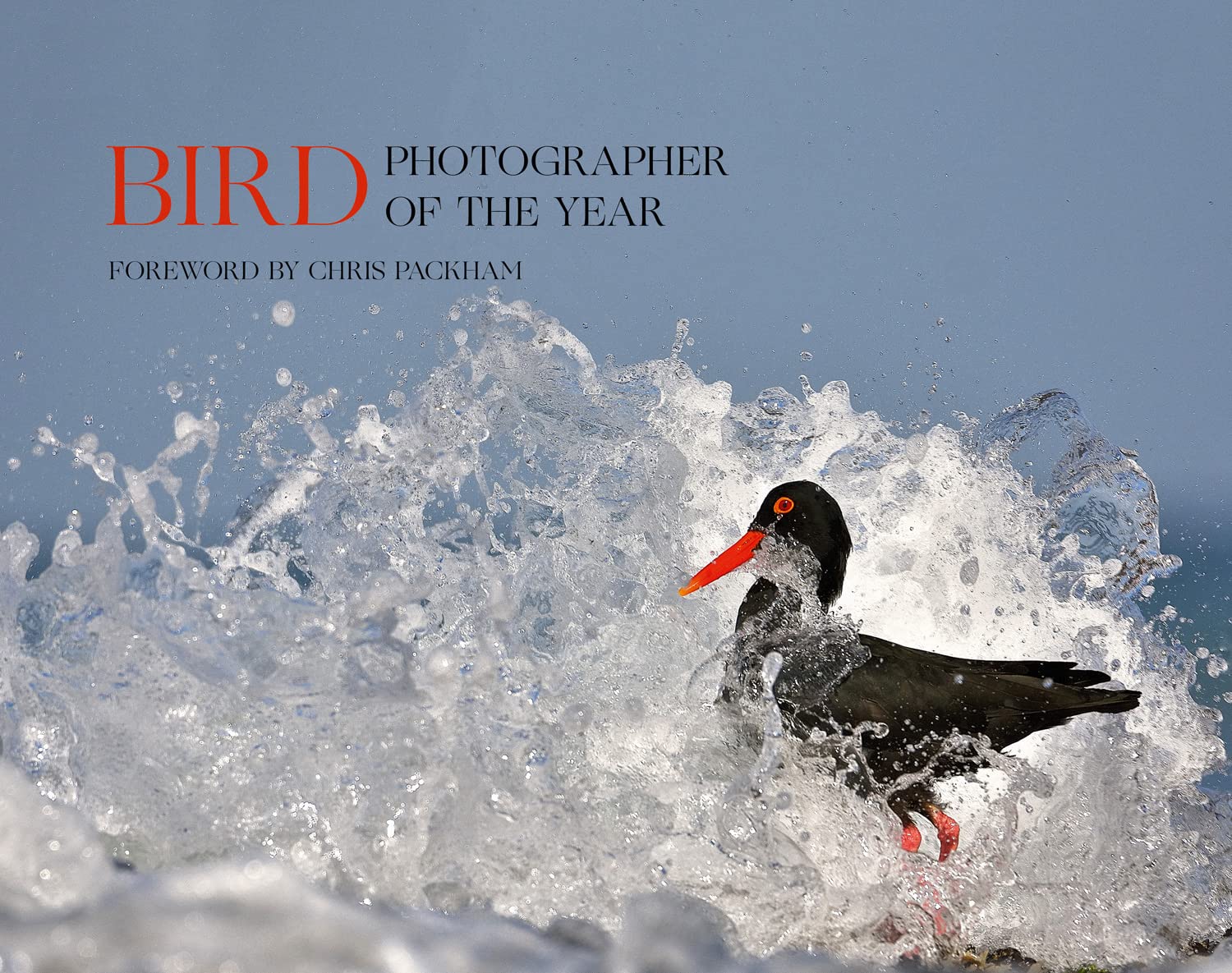 Bird Photographer of the Year: Collection 5 By Bird Photographer of the Year