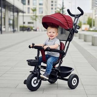 R for Rabbit Tiny Toes T40 Plus Tricycles for Kids with Premium Rubber Wheels, 360° Rotatable Seat, Storage Basket & Canop... Price In India