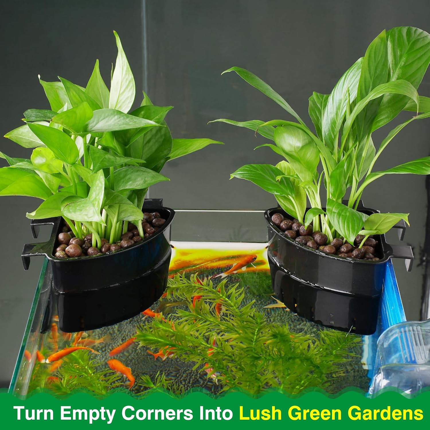 Borlech 2026 Latest Model Large Aquarium Corner Planter Hanging Plant Holder for Fish Tank Aquaponic Plant Cultivation and Aquascape Accessories Decorations (2 Pack) Black image 5