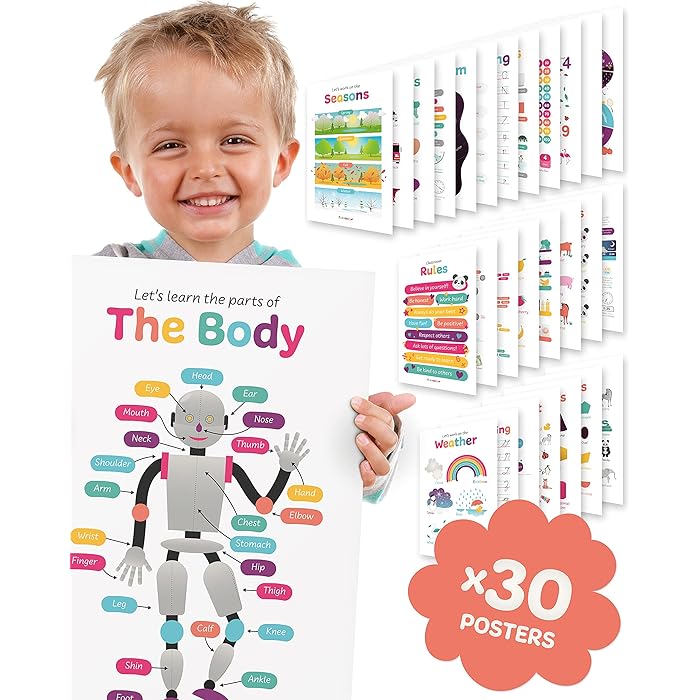 Buy Educational Posters for Kids 30 x Kindergarten Classroom Posters