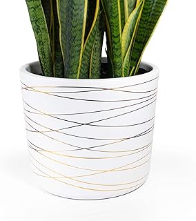 Willowy 12 Inch Ceramic pot - Matte White Planter with Gold Stripes - 12 Inch Pots for Plants Indoor, Modern White Planters for Indoor Plants, Big 12 Inch Plant Pot, White Plant Pot with Drainage Hole Plug