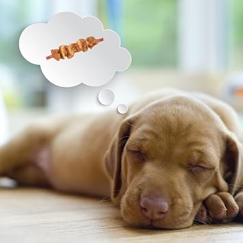 DreamBone Double Protein Rawhide-Free Dog Treats with Real Sirloin, 10 Ct