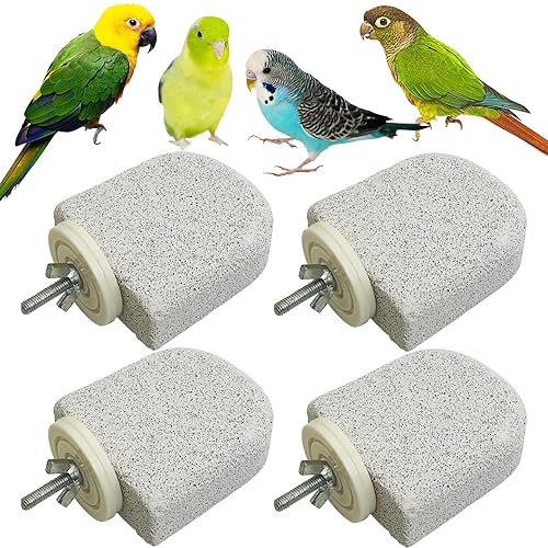 PINVNBY 4 PCS Bird Perch Stands Parrot Calcium Perch Beak