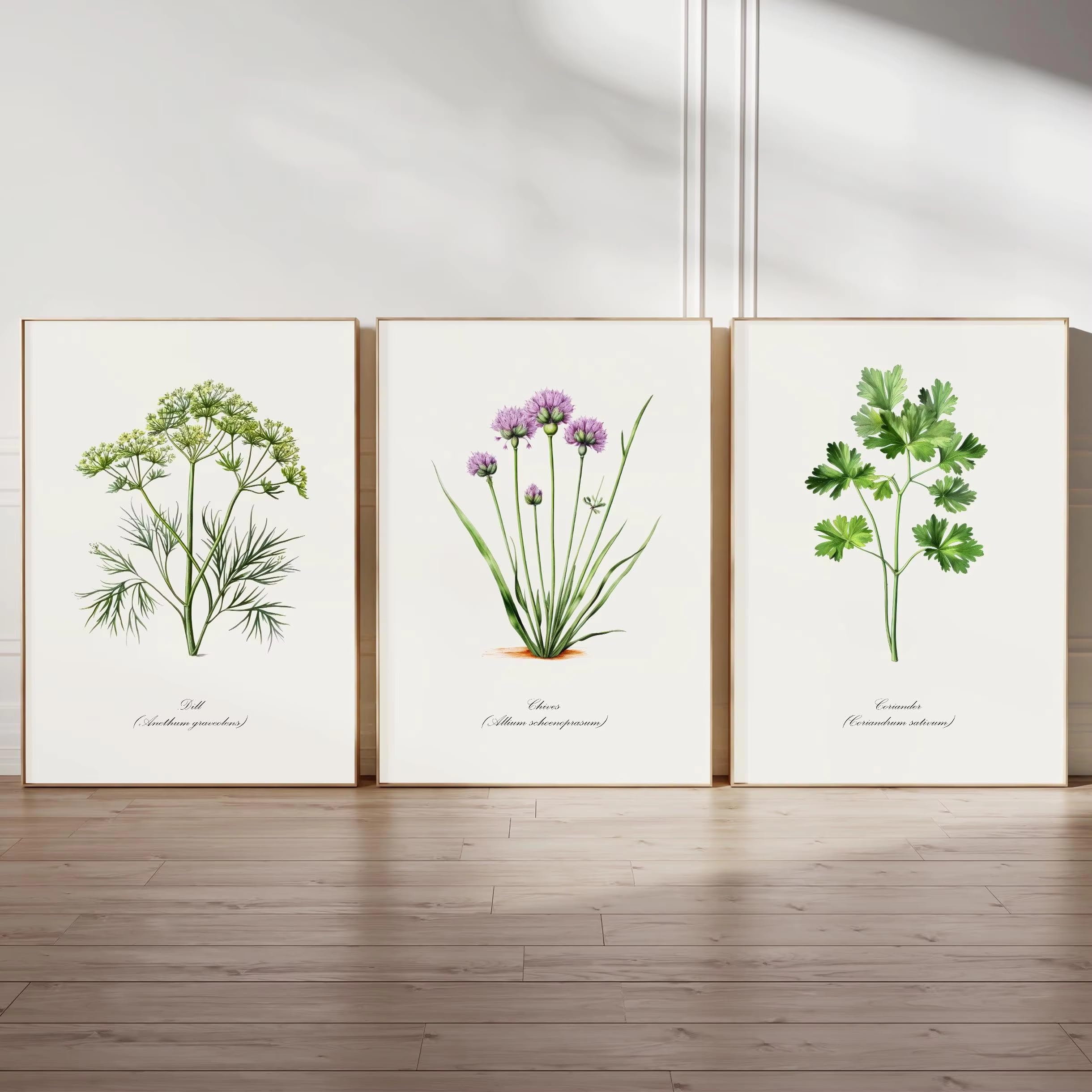 LTjiajuypd Quadri decorativi botanici con erbe aromatiche per cucina rustica, decorazioni verdi, stampe da giardino, poster in stile fattoria (50x75 cm - 3 pezzi)