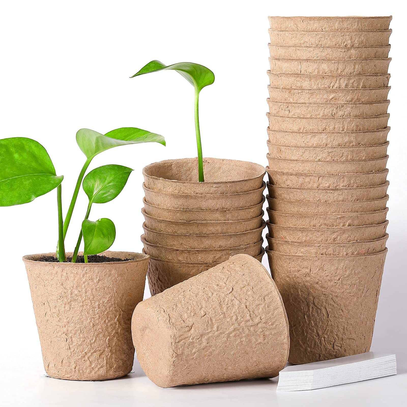 Zuverlässiger Samenstarter, Torftöpfe, Gartenkeimung, Anzuchttöpfe, Bio-Keimung, Pflanzenstarter mit Kunststoff-Pflanzenmarkern, Etiketten für Pflanzen (80, 8 cm Durchmesser)