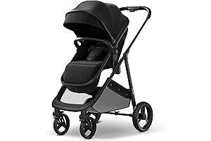 Maxi Cosi 2-in-1 Convertible Travel Stroller