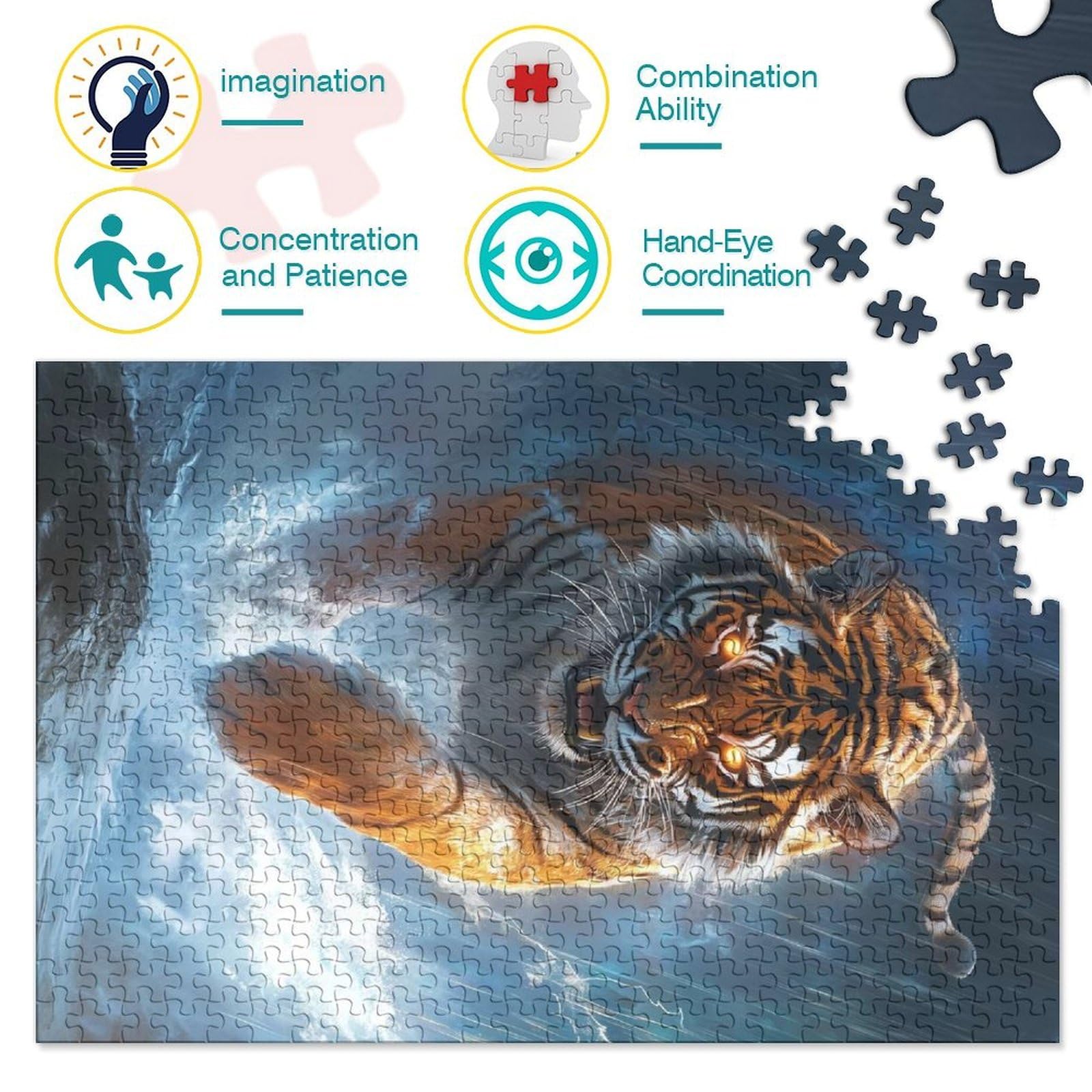 View 4